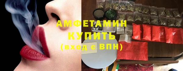 прущая мука Вяземский